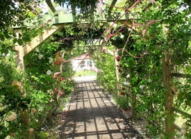 New cafe opens at The Walled Garden, Fife