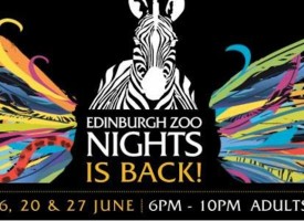 Join the nights owls at the award winning Edinburgh Zoo Nights