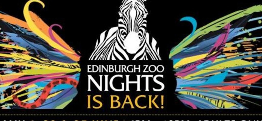 Join the nights owls at the award winning Edinburgh Zoo Nights