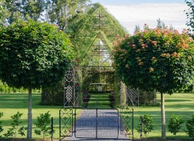 Barry’s Tree Church