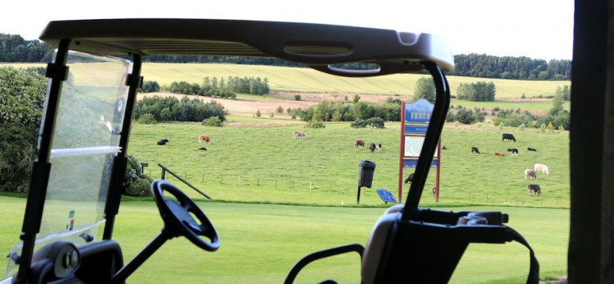 Beautiful views & good food, Forrester Park, Fife