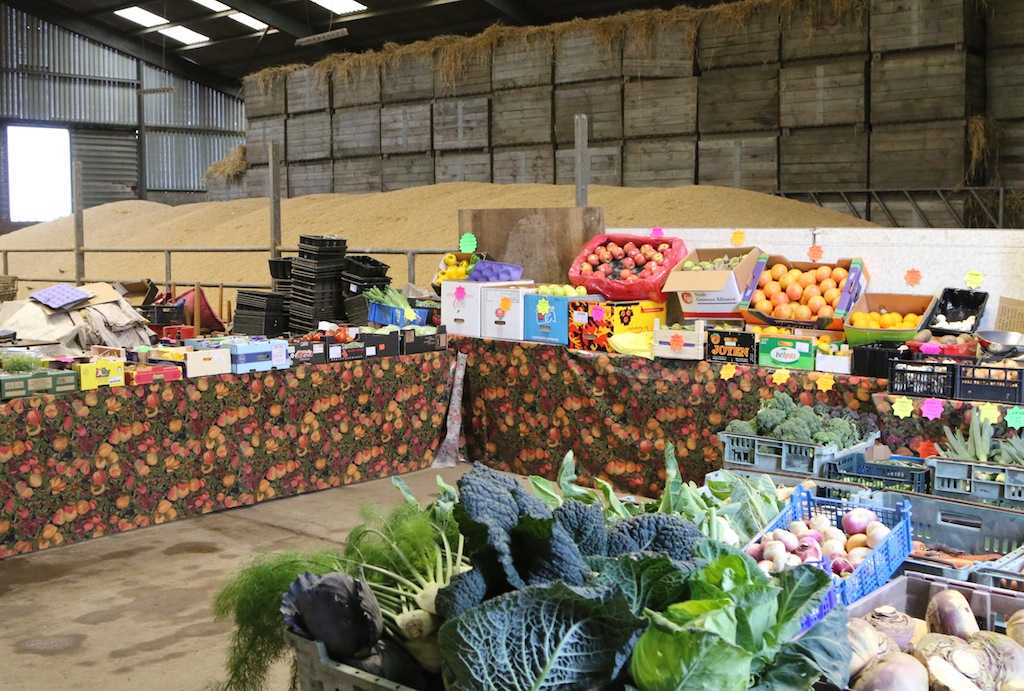 Bankhead Farm Shop, Crombie, near Dunfermline, Fife Avocado Sweet