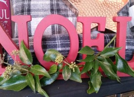Local Christmas shopping guide #4: home and hearth
