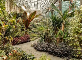 People in Glasshouses: Pittencrieff Park spruced up for spring