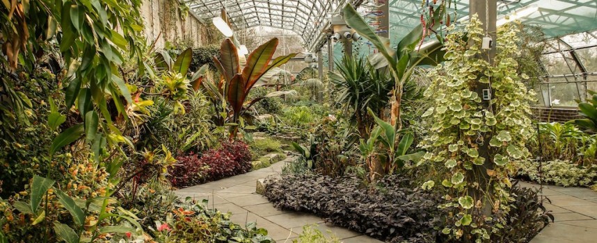 People in Glasshouses: Pittencrieff Park spruced up for spring