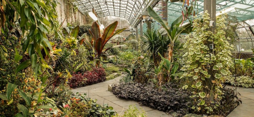 People in Glasshouses: Pittencrieff Park spruced up for spring