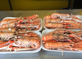 Buy locally-caught langoustines and lobster in Pittenweem