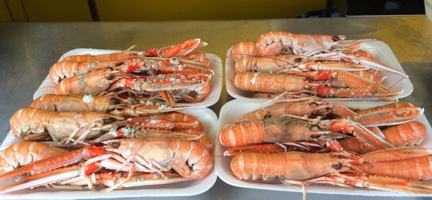 Buy locally-caught langoustines and lobster in Pittenweem