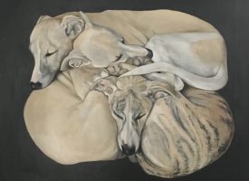 The Dog Show: stunning canine portraits at FSC this month