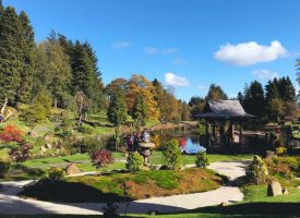 Japanese garden, Dollar inspires Culross exhibition