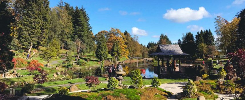 Japanese garden, Dollar inspires Culross exhibition